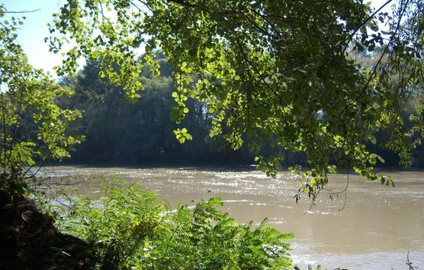 Река протока Забойский