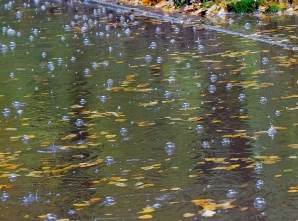 Пузыри на лужах