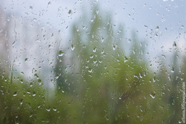 Апрельский дождик