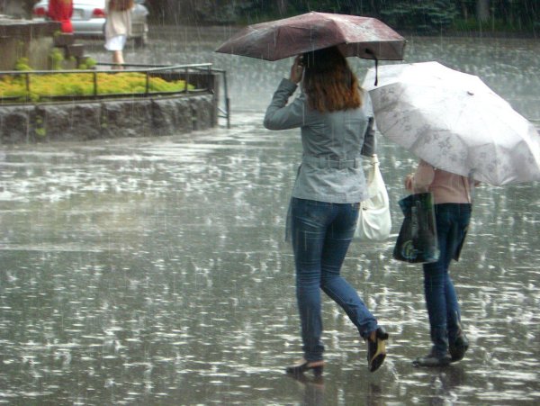 Сильный летний дождь