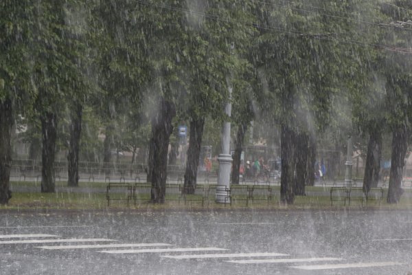 Обложной дождик