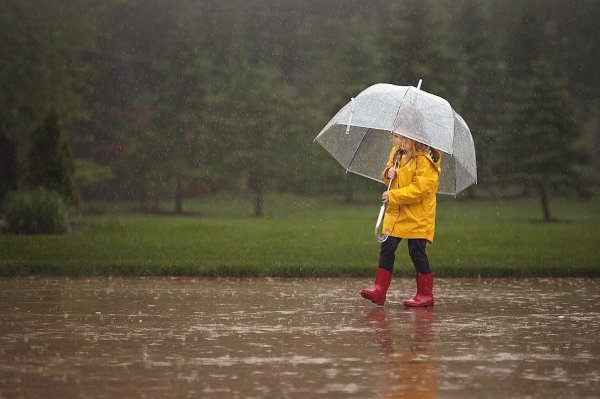 Летом под дождем