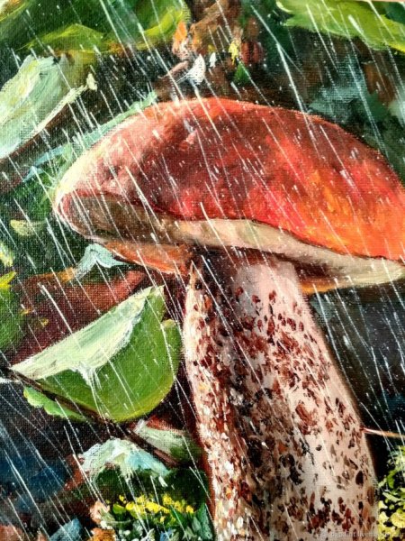 Грибной дождь