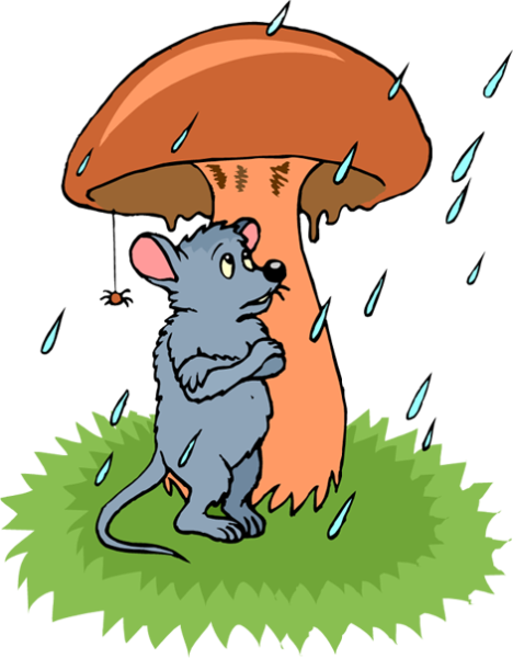 Мышка под дождем