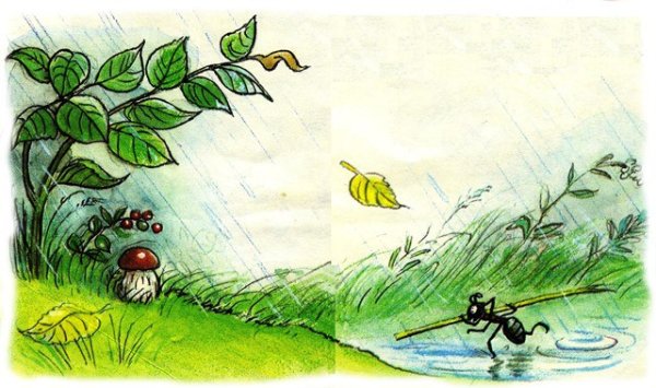 Сутеев под грибом муравей