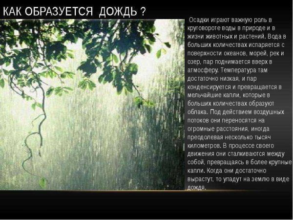 Презентация на тему дождик