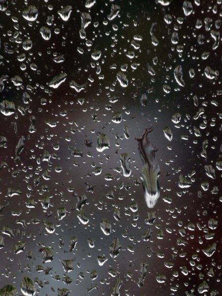 Дождь и слезы