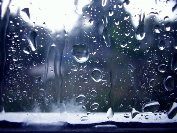 Слезы на окне