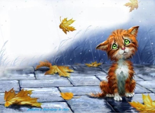 Рыжая кошка под дождем