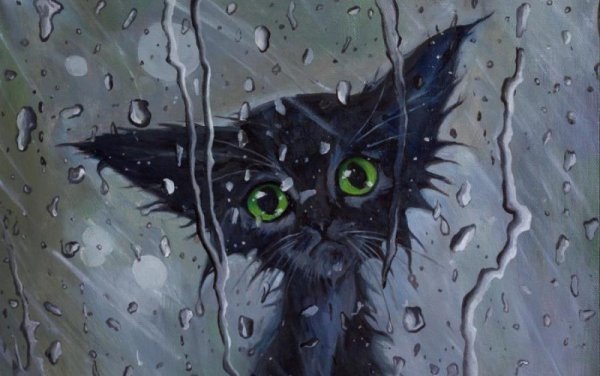 Эрнест Хемингуэй кошка под дождем