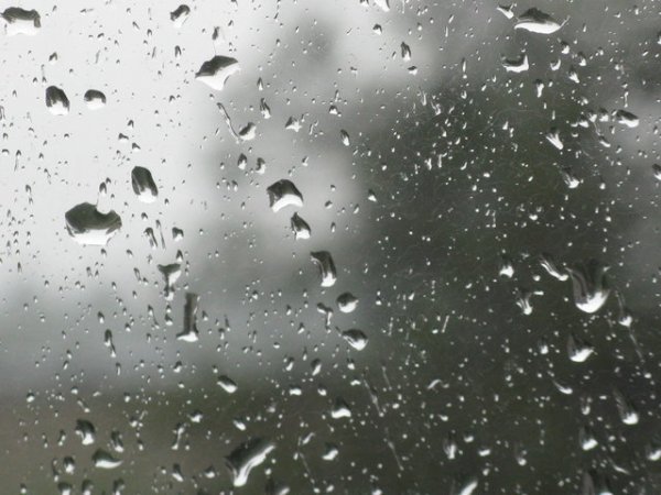 Слезинка дождя