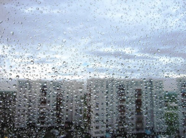 «Дождика слезинки»