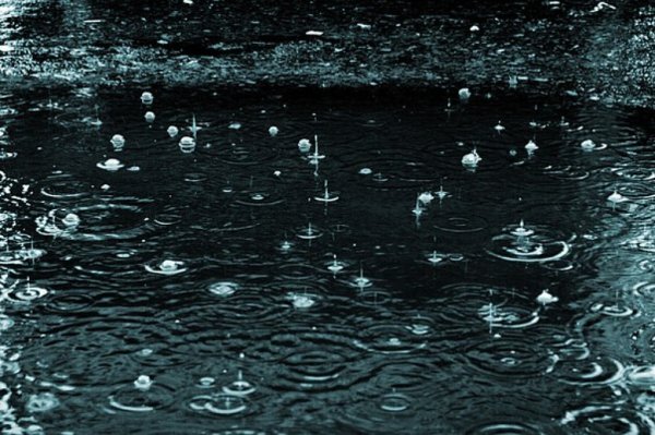 Крапает дождь