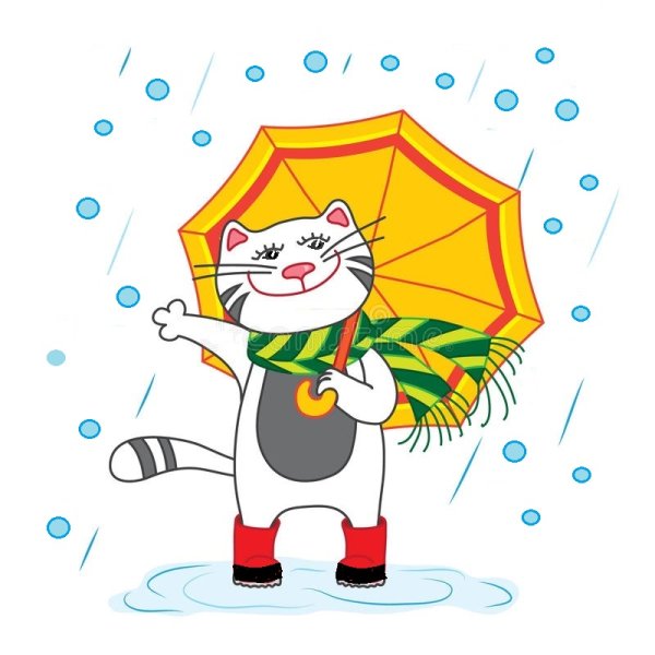 Кот радуется дождю