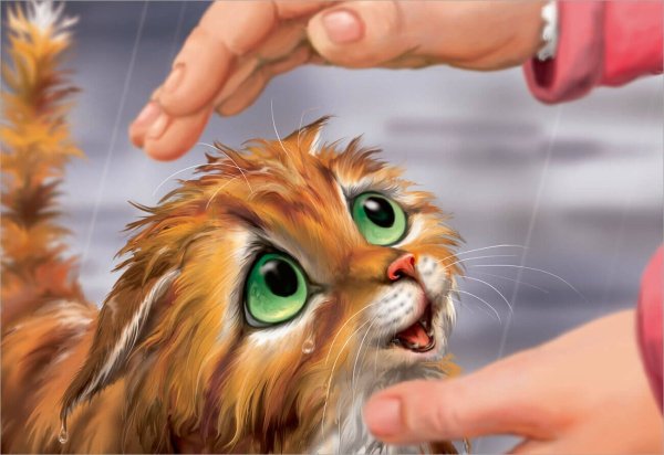 Поступай по человечески