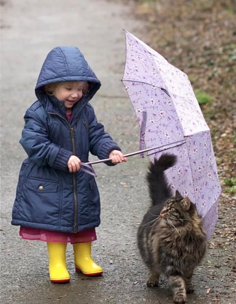 Прогулка прикол картинки