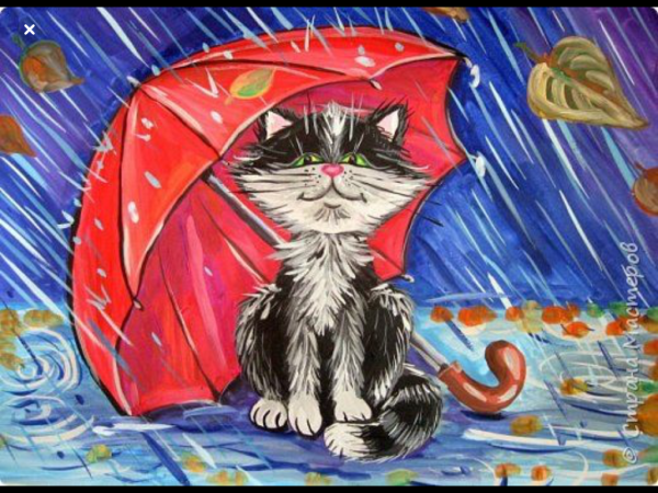 Котик под зонтом