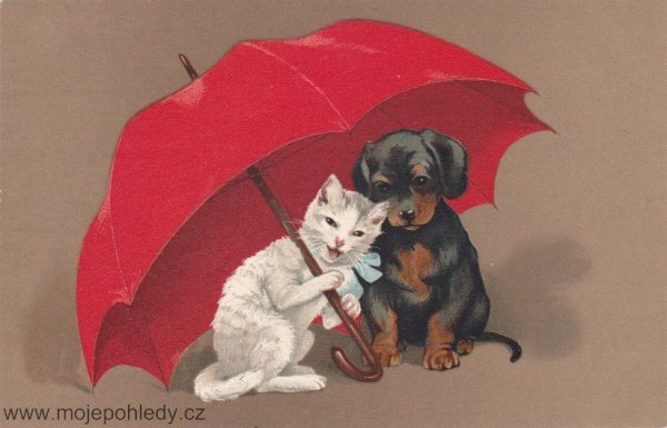 Собака под зонтиком