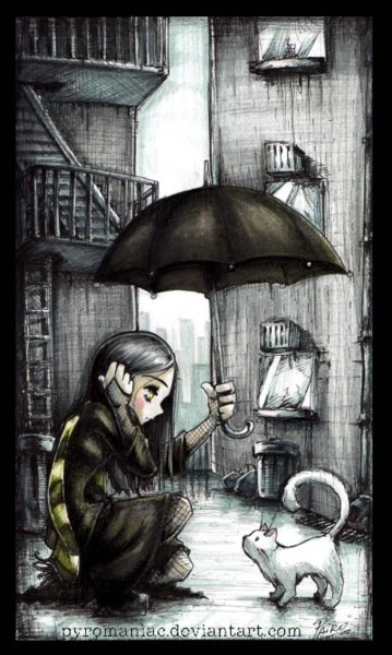 Брошенный котенок под дождем