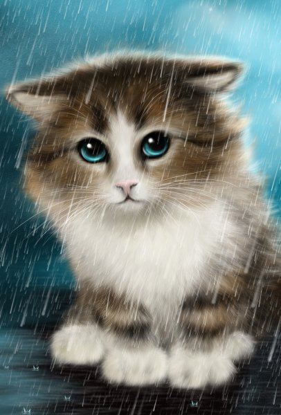 Котенок под дождем