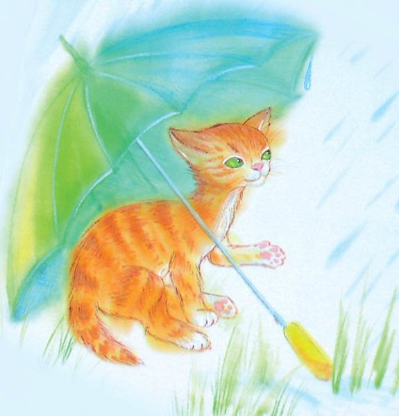 Рыжий кот под зонтом