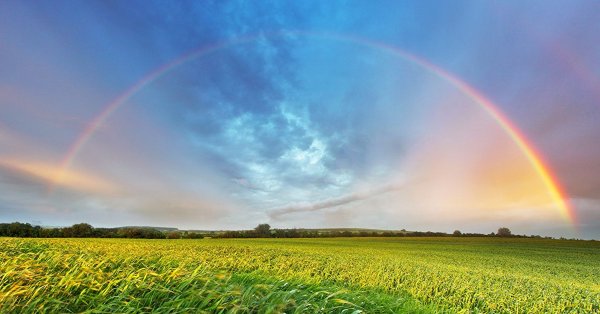 Лето картинки