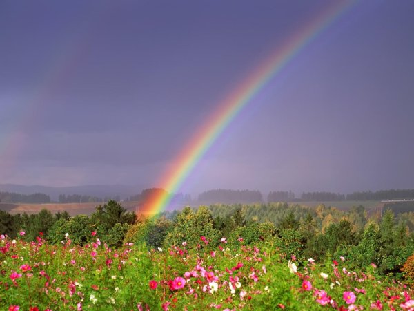 Красивая природа с радугой