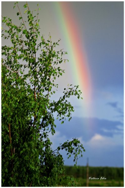 Радуга на якутском