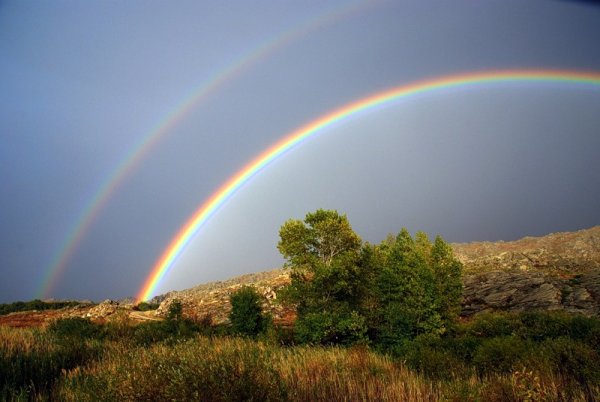 Окружающий мир Радуга