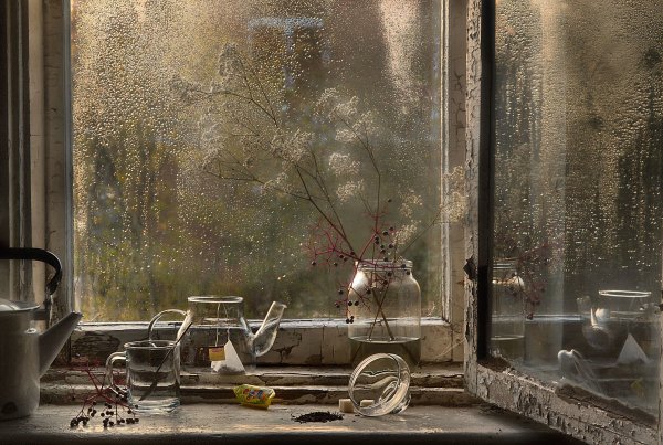 Дождливый пейзаж за окном