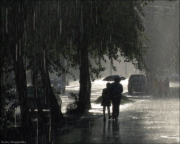 Дождь на улице за окном туман