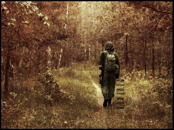 Сталкер лес