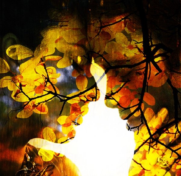 Воспоминания об осени