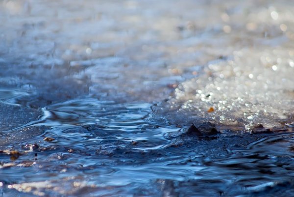 Ручей после дождя