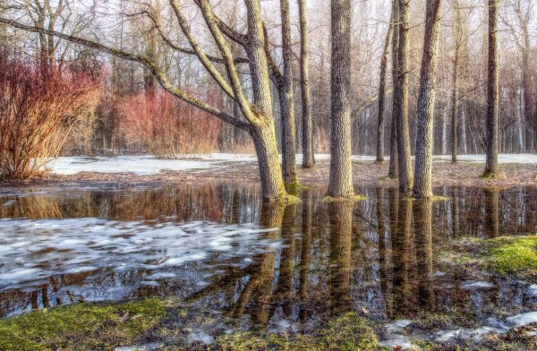 Пейзаж весенние лужи