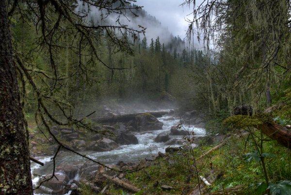 Глухая Тайга Сибири