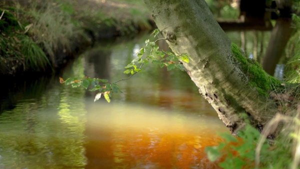 Берег реки анимация