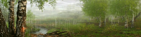 Летний дождь анимация