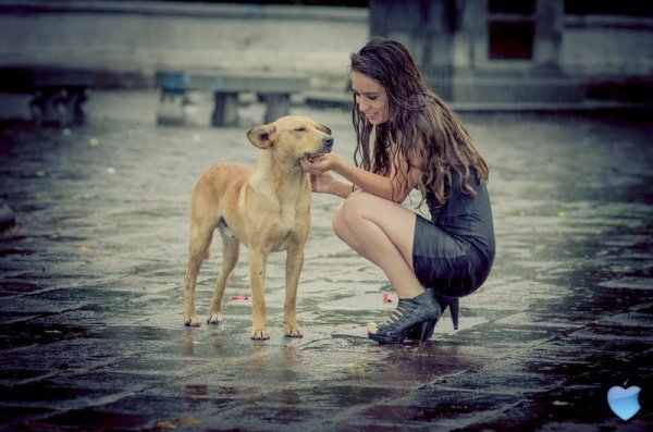 Девушка с собакой под дождем