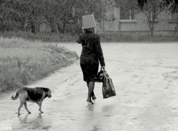 Девочка с собакой под дождем