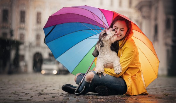 Девушка с зонтом и собакой