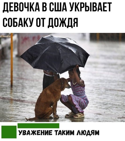 Добрые поступки