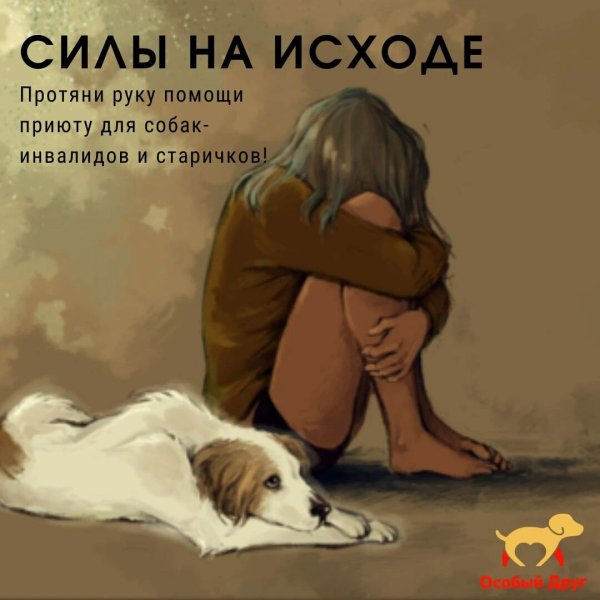 Картинки грусть девушки sobaka