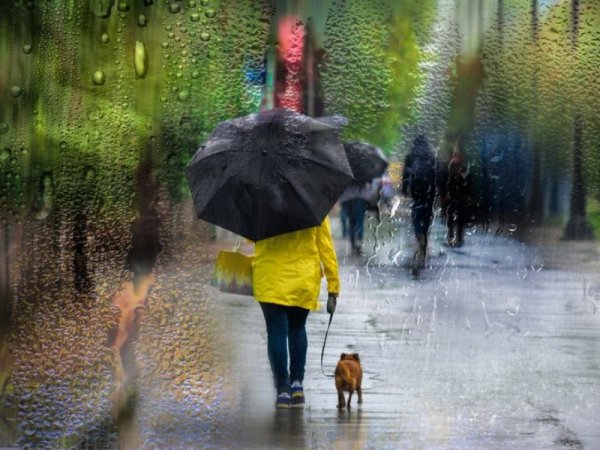 Дождливый день летом