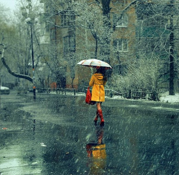 Зонт в луже