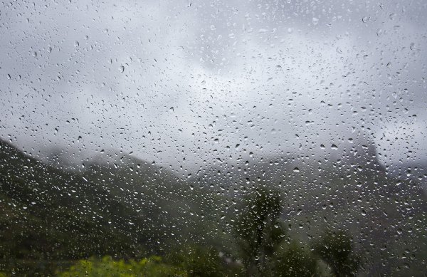 Дождь на стекле