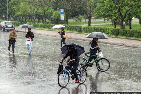На велосипеде в ливень
