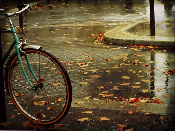 Велосипед дождь осень