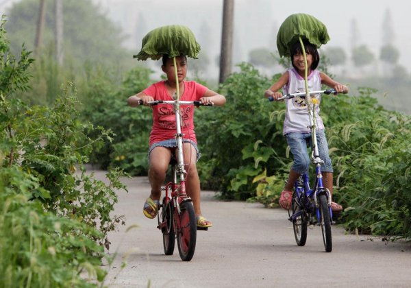 Смешные велосипеды