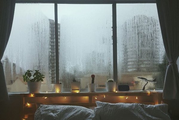 Комната с видом на дождь